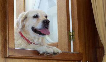 Einen Moment am Eingang des Salons posieren