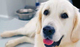 Einfach direkt in die Kamera schauen. Bin ich schön?