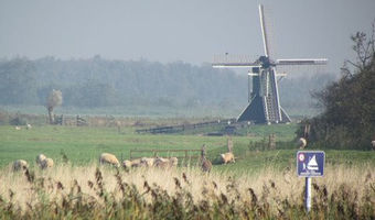 Die wunderschöne Landschaft Hollands