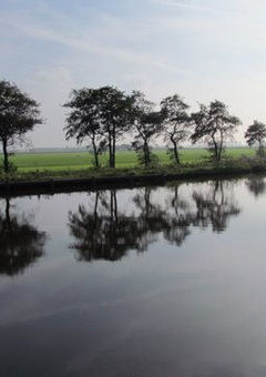 Die Goaiingarypster Puollen