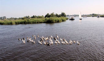 Ein Hausboot mieten und faszinierende Naturgebiete besuchen