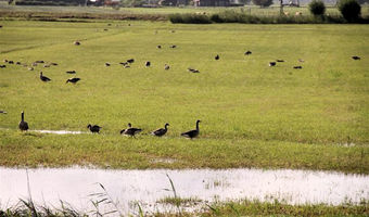 An Bord Ihres Hausboots zu fahren: Orte, die Sie mit dem Auto nicht erreichen können besuchen