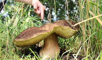 Übernachten in freier Natur: kommen Sie und genießen Sie das Wasser in Holland
