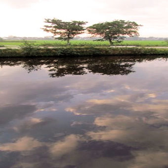 Es ist herrlich, mitten in der friesischen Natur zu liegen.