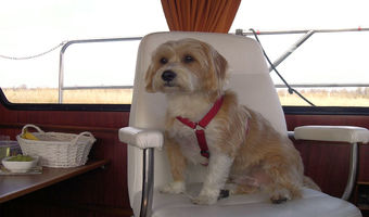 Soll ich das Boot einfach fahren?