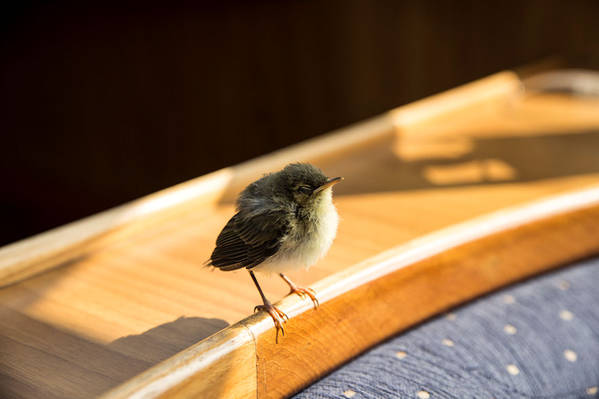 Die Schiffsausrüstung war komplett, wir haben keinen Mangel entdeckt