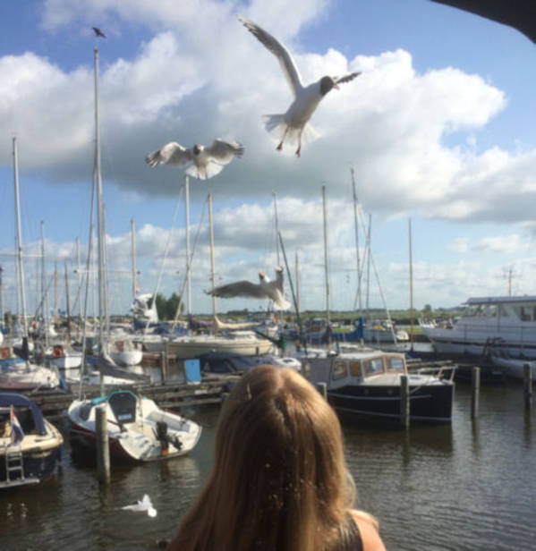 Sehr wechselhaften Wetter aber wir kommen bestimmt wieder