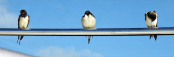 Eine abwechslungsreiche Woche