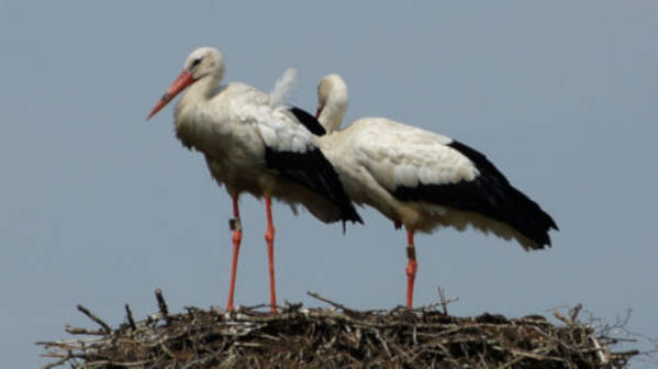 Über eine weitere Reise mit Yacht 4 You spricht nichts dagegen