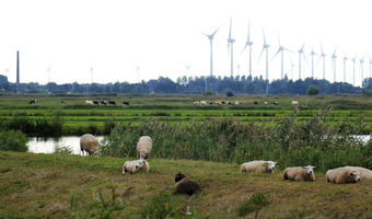 Weite Ausblicke in alle Richtungen von der Yacht aus - alles so anders