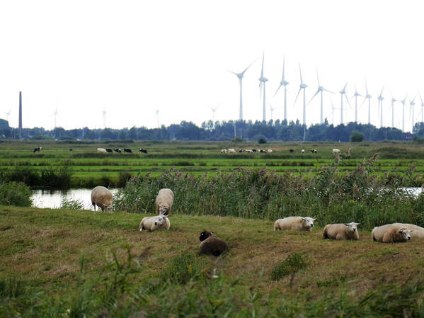 Eine Woche Bootsurlaub mit das Boot Vesta