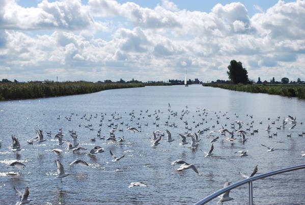 Herbsturlaub auf einem tollen Boot von Yachts4U