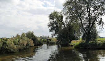 Der Naturliebhaber entdeckt die Natur anders vom Wasser aus