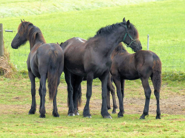 Saisoneröffnung 2018 auf das Hausboot Evita