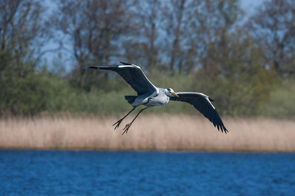 Mein Mann hatte euphorisch erzählt, wie schon das Boot und die Gegend sei