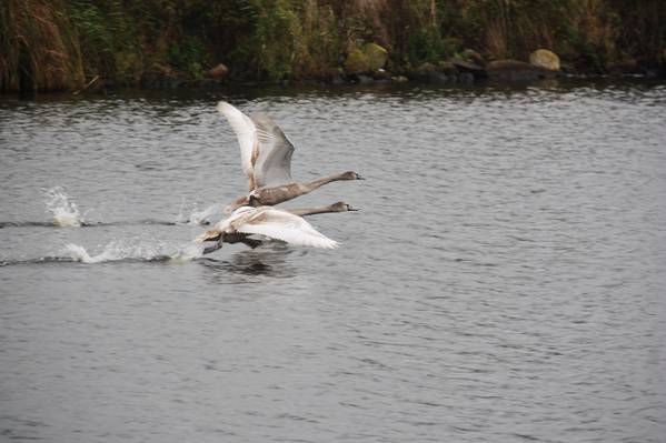 Es gibt sehr tolle Orte in Holland