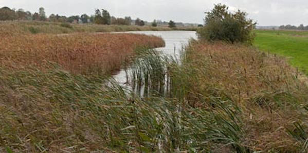 Wir verlassen unsere Elisa mit tollen Erinnerungen