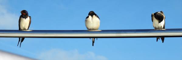 Auch wir waren auf der Linda von Yachts4U!