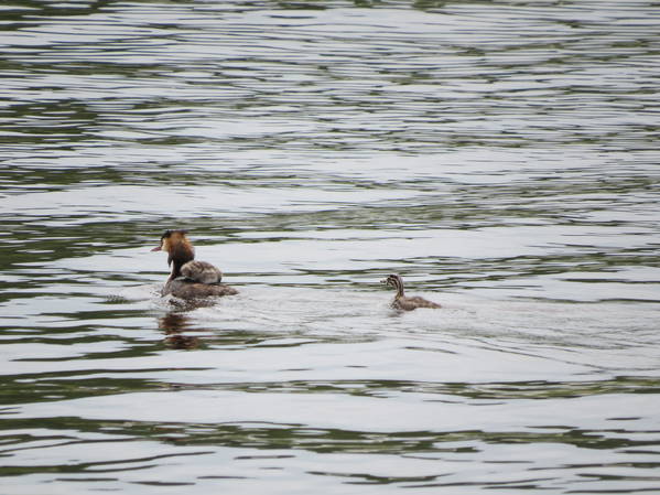 Wir genossen jetzt schon das 4.mal