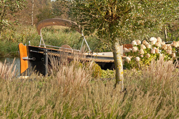 Ich werde auf alle Fälle wiederkommen