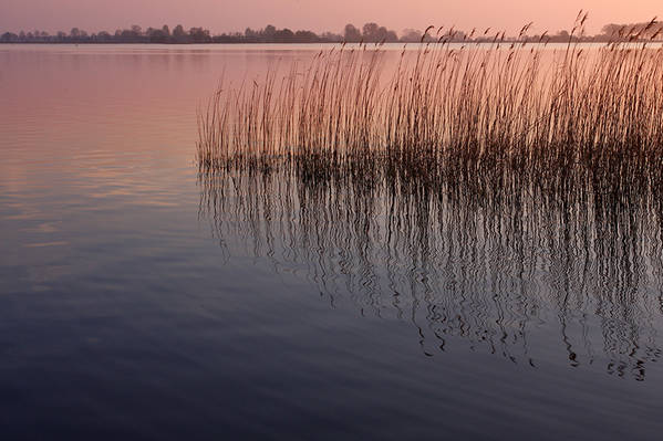 Friesland - ein schönes Land!