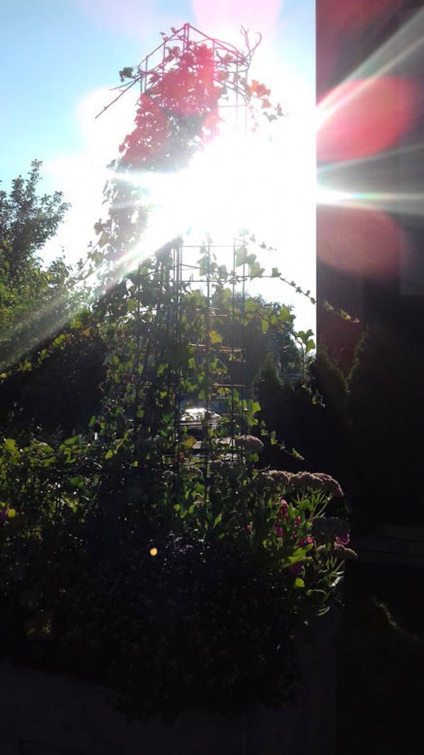 Ein Traum Wetter von über 30