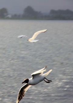Reisebericht - die schönsten Ecken Frieslands