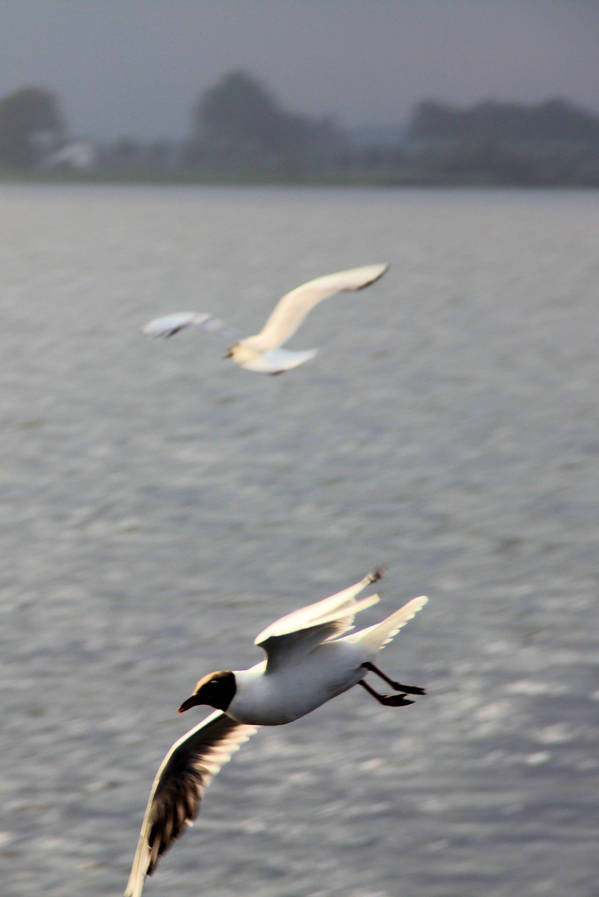 Bootsurlaub in Holland: wir haben uns sehr wohl gefühlt