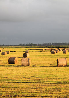 Zurück zum Heimathafen der Gerda