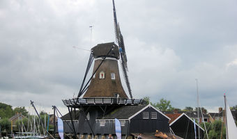 Baumsägewerk in Friesland