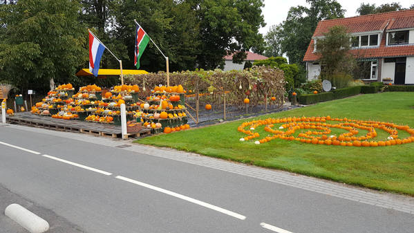 Holland ist traumhaft und der Service von Yachts4U ist immer hervorragend 