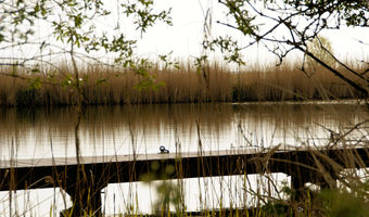 Morgenrot in Friesland