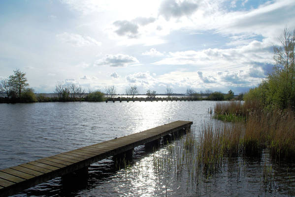 Weids uitzicht over het open Friese water.jpg