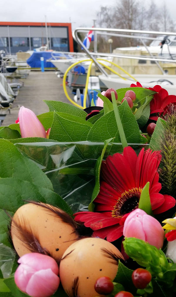 Wir haben uns für die kleinere „Lucia“ entschieden