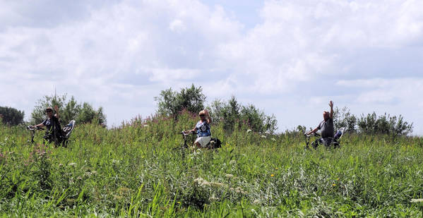 Zufrieden mit der Holländischen Landschaft