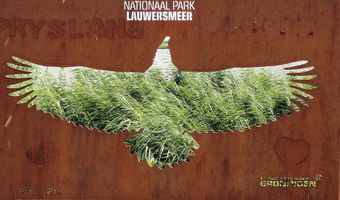 Nationalpark Lauwersmeer in Groningen