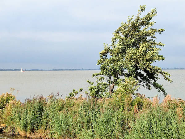 Wir fahren Richtung Echternerbrug.jpg