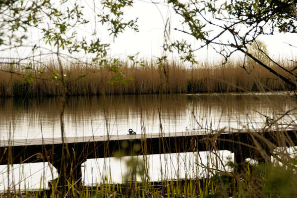So viel wie möglich auf einem Boot zu sein.jpg