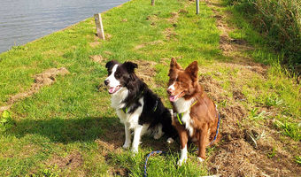 Wie schön diese Aussicht