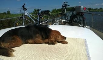 Ich bin Mitreisender Nummer 5, bitte nicht stören, bin am Sonnenbaden