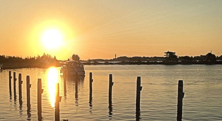 de yachts4u portal pagina.jpg