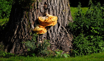 Entlang der Kalenbergergracht