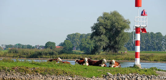Bij de Spooldersluis naar de IJssel omgekeerd.jpg