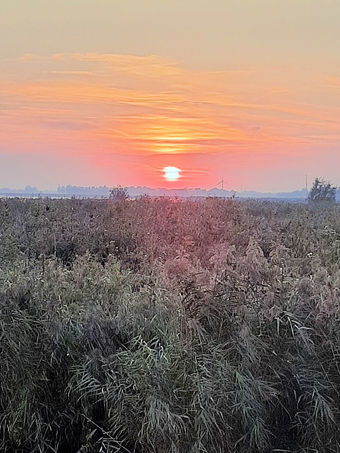 Ein Boot mieten in Overijssel