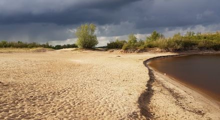 Margjepolle is een eilandje midden in het Tjeukermeer.jpg