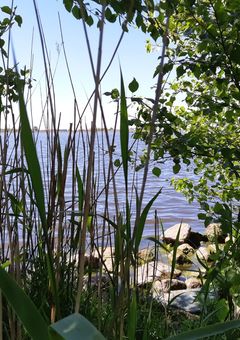 Mitten im See anlegen: keiner kann dort stören