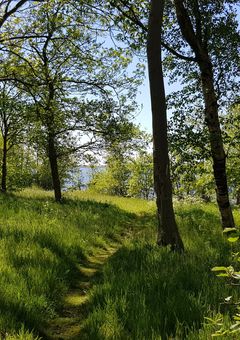 Um uns herum war nur die Sonne der Wind, das Wasser und die Vögel
