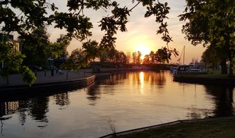 Ein lebendiges Gemälde