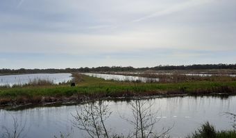 Nebel über dem Wasser
