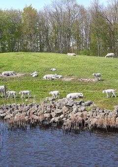 Über die IJssel in Richtung Zwolle